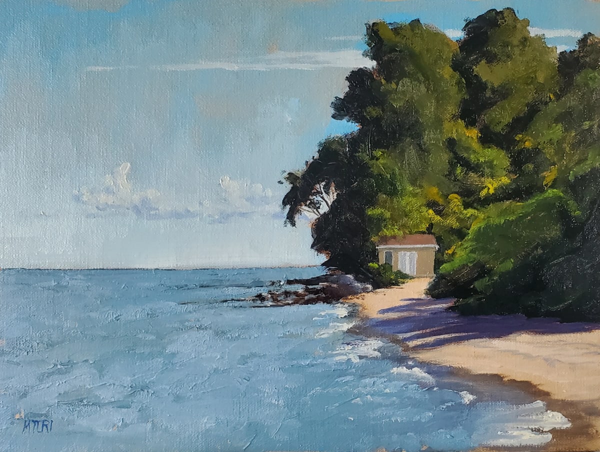 Another Morning at Arcola by Mia Turi  Image: A sunny view of the Lake Erie shoreline looking eastward at Arcola Creek Estuary Park in North Madison, OH.  9x12 oil on canvas board, started en plein air and finished in studio.