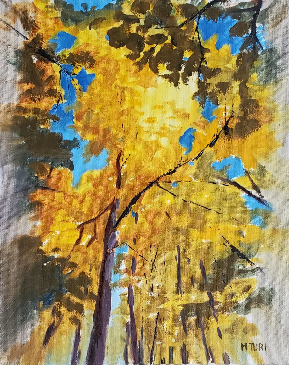 Canopy Sketch  Image: Sketch done in preparation for larger "Light in the Canopy"