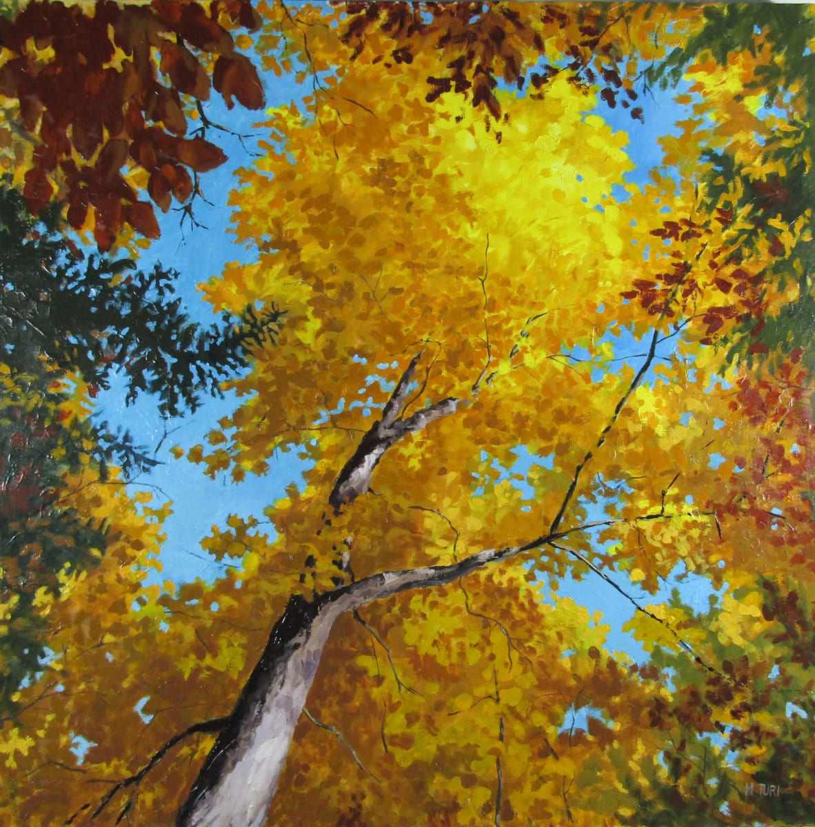 Light in the Canopy by Mia Turi  Image: This painting was done over an existing, unfinished acrylic painting titled "Before Breakfast" that I did many years ago and was never satisfied with. The old painting was sanded down to remove much of the impasto texture and then primed with acrylic gesso. Some of the old impasto texture remains and is evident under the new painting.

When I moved back to Ohio after 25 years in Nevada, I spent a lot of time hiking, rediscovering the joys of distinctly changing seasons. The intense glow of backlit leaves always takes my breath away and imparts the wonders of nature.