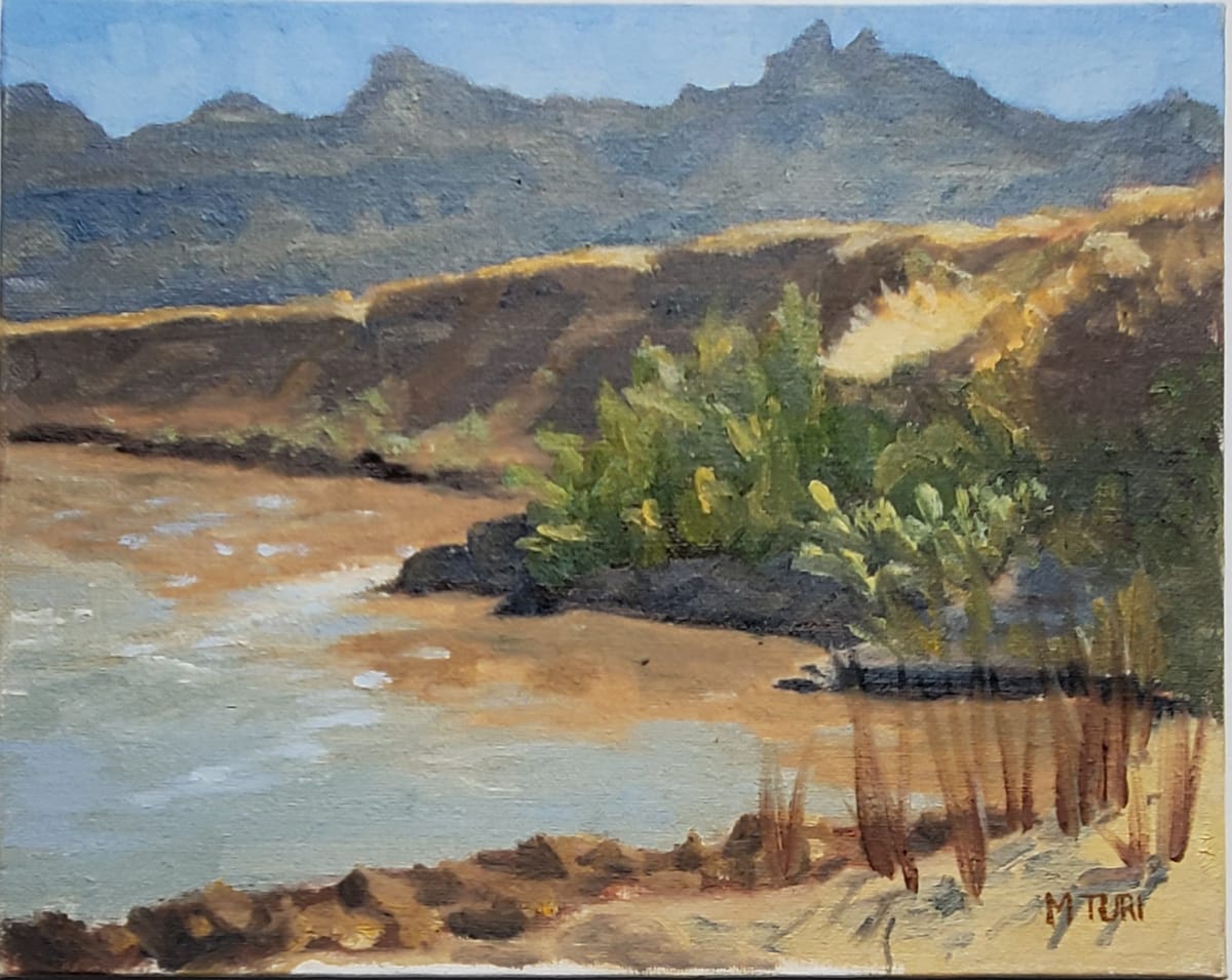 Pearce Ferry on the Colorado River by Mia Turi  Image: Pearce Ferry on the Colorado River, Original plein air landscape in oil on 8"x10” canvas panel, unframed.