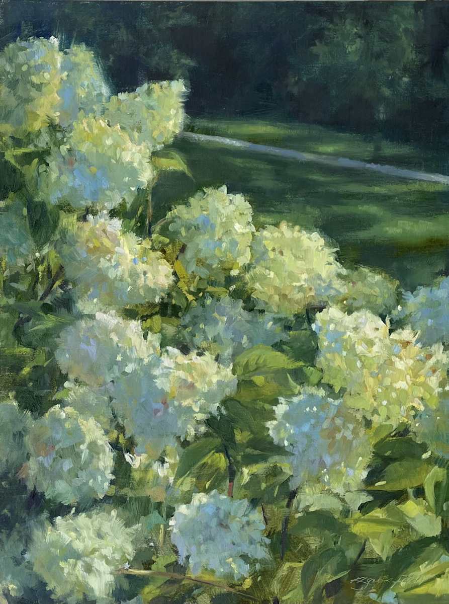 Limelight by Katherine Grossfeld 