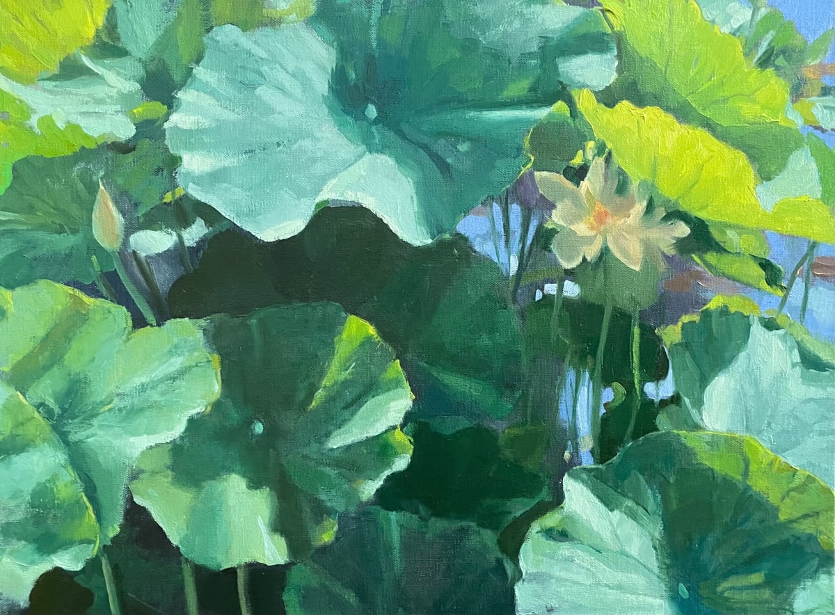Lotus in the Sun by Katherine Grossfeld 