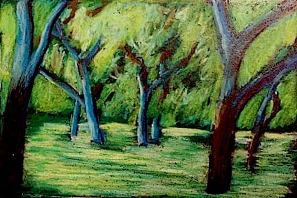 Sunset for the Trees by Robin Chappell  Image: A Walk through the End of Summer with a gentle breeze blowing through the still green trees.