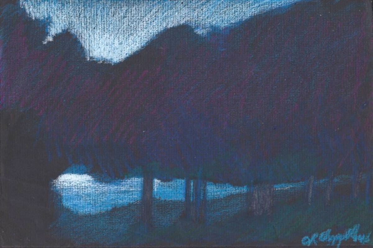 Lakefront by Robin Chappell  Image: Walking at night, with the trees backlit by the neighborhood across the lake.