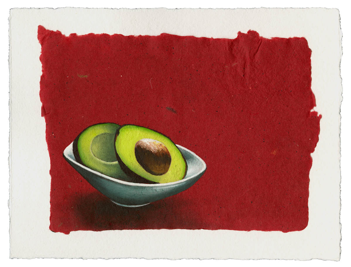 Avocado in White Bowl by Linda Chido 