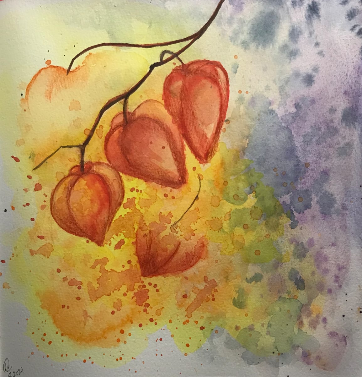 Chinese Lanterns by Linda Chido 