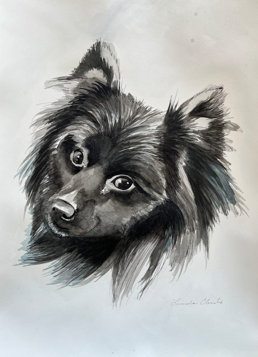 Dillan by Linda Chido 