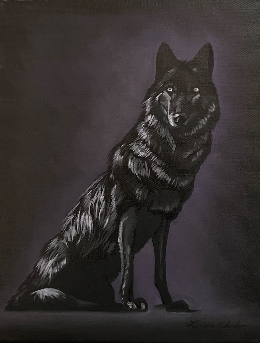Black Wolf by Linda Chido 
