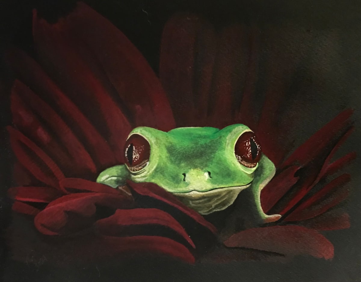 Frog in Red Flower by Linda Chido 