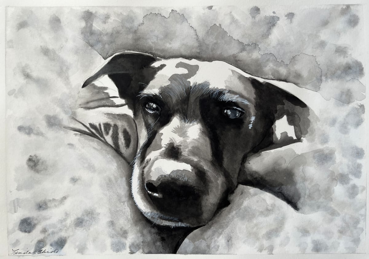 Izzy by Linda Chido, Image 1.