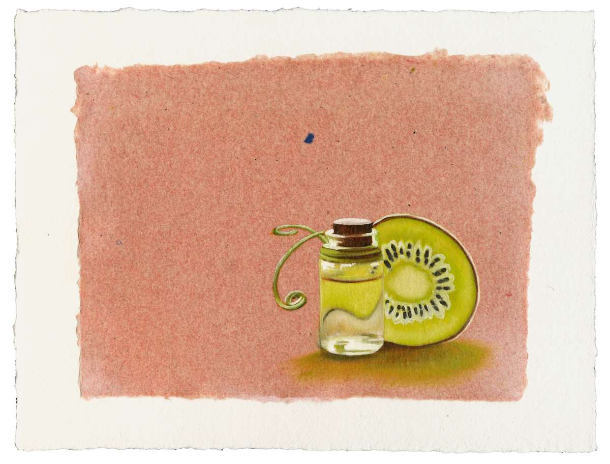 Essence of Kiwi by Linda Chido 