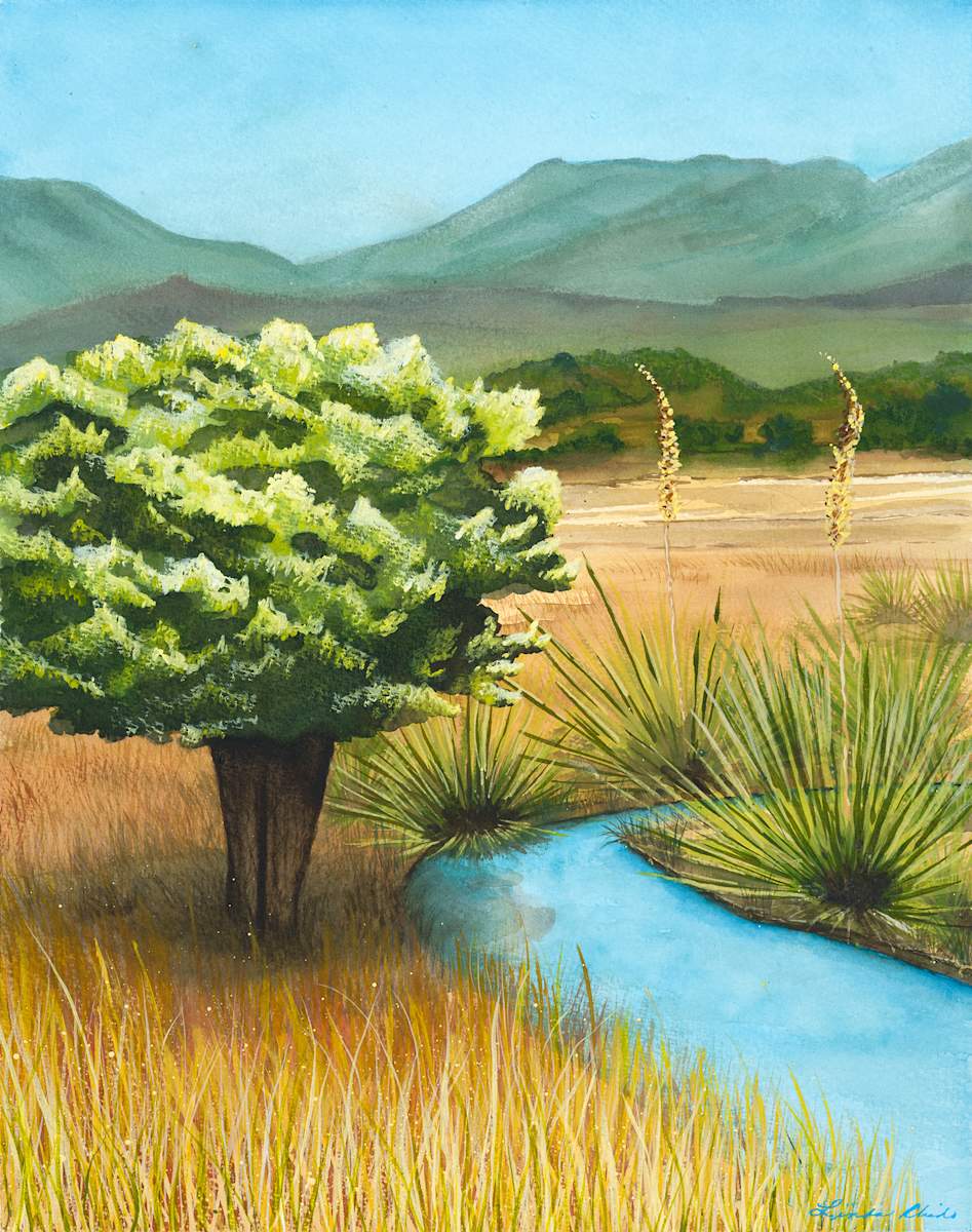 Wild Texas by Linda Chido 