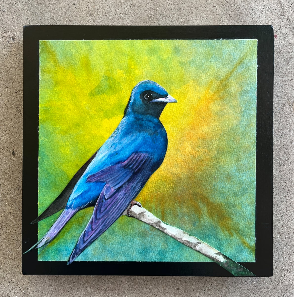 Purple Martin by Linda Chido 