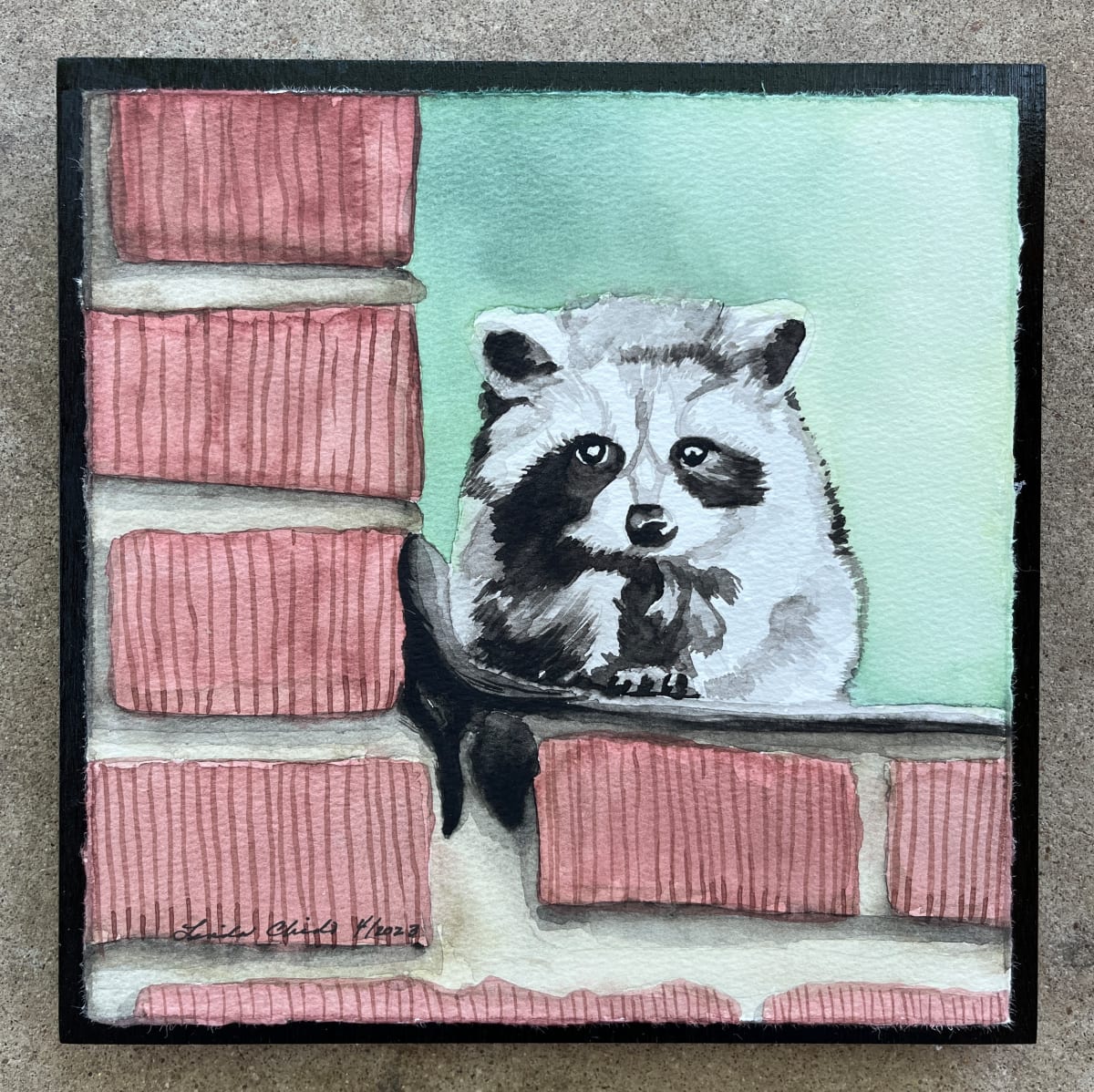 Raccoon by Linda Chido 