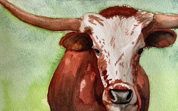 Longhorn by Linda Chido 