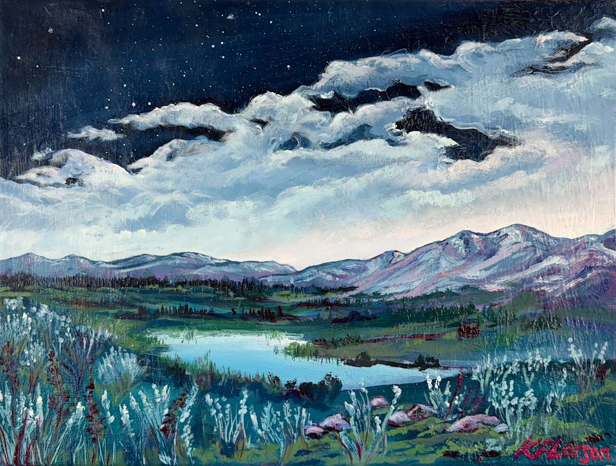 Constellation Canopy by Kelly Frappier Larson 