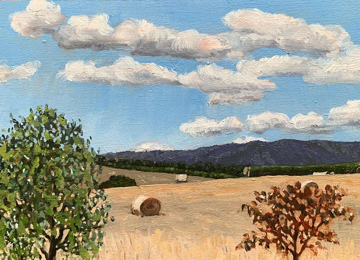 Front paddock by Melody Spangaro 