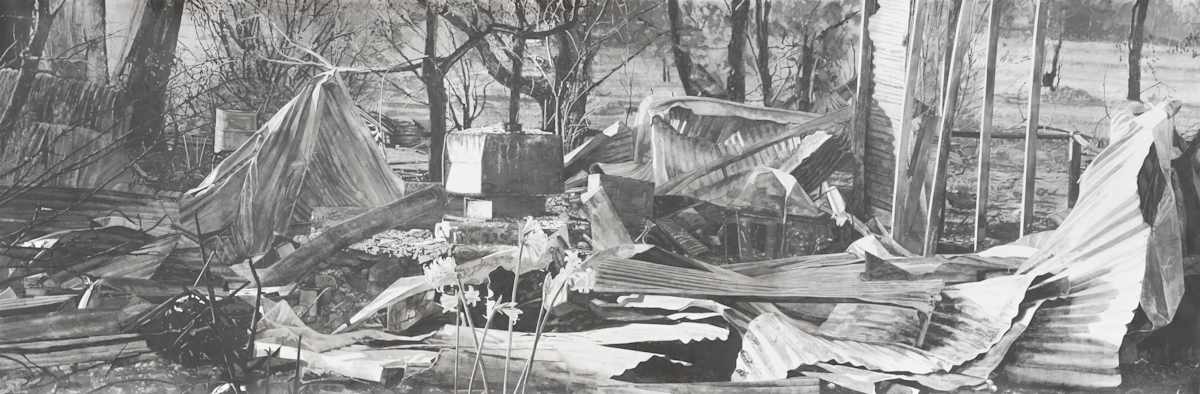 119 CRV by Melody Spangaro 