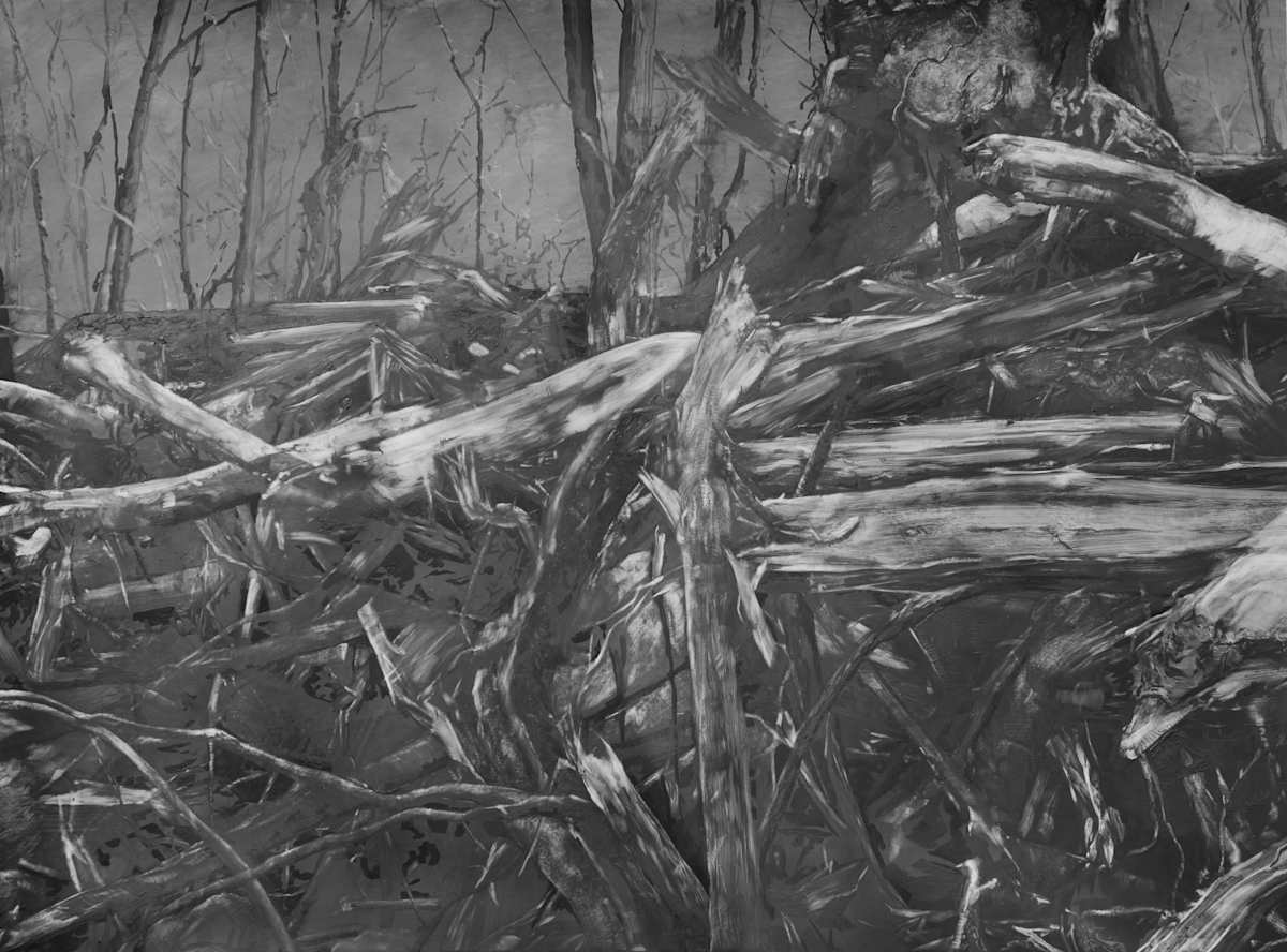 Razed by Melody Spangaro 