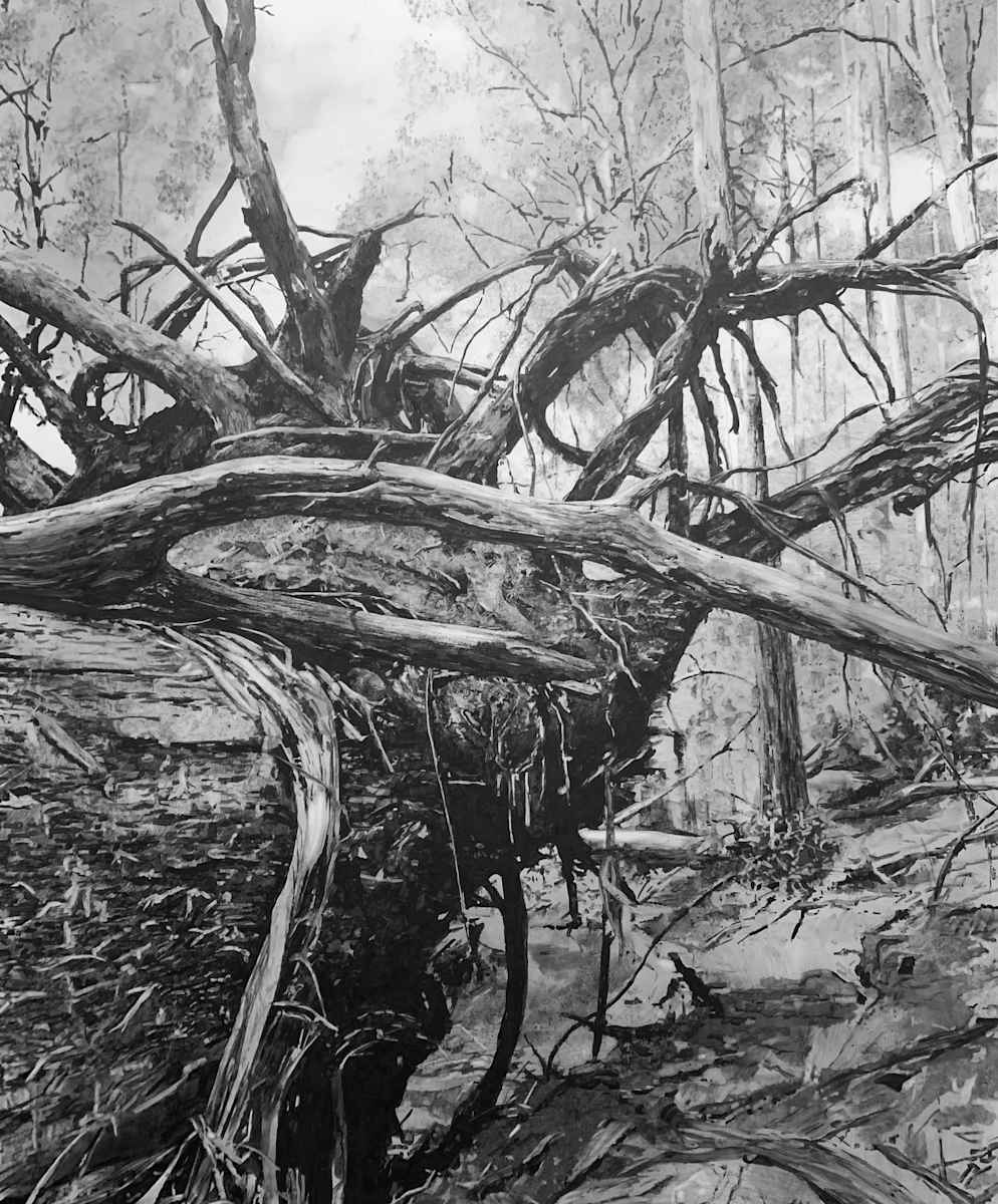 Sherbrooke Felled by Melody Spangaro  Image: Sherbrooke Felled