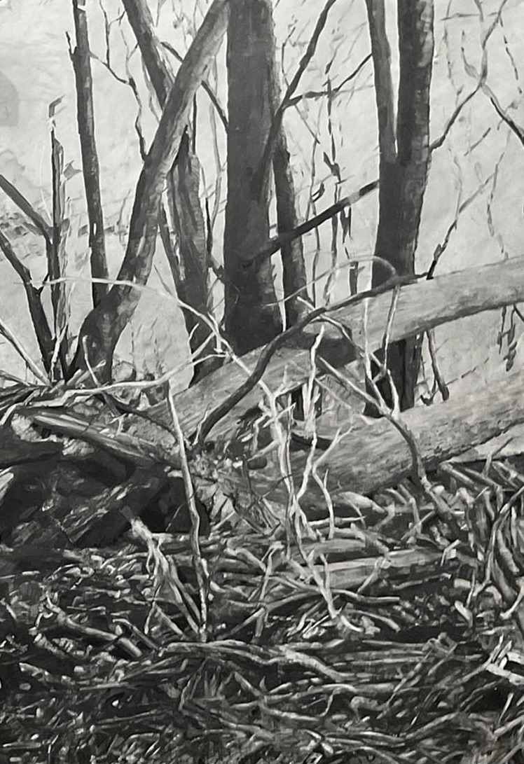 Slow Violence Part 2 