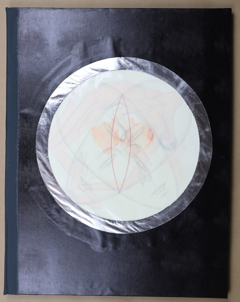 Untitled (Artist Book) by Audra Skuodas  Image: Book Cover
