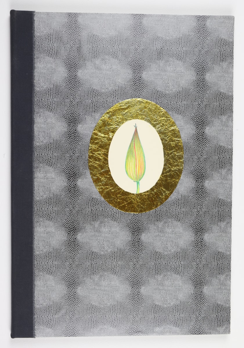Brutalization Will Never, Never Bring About Humanisation by Audra Skuodas  Image: Front Cover