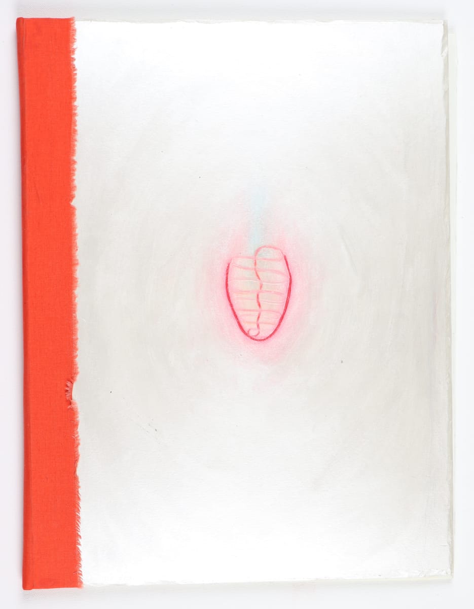 This Vessel of Definition and Transformation by Audra Skuodas  Image: Book Cover