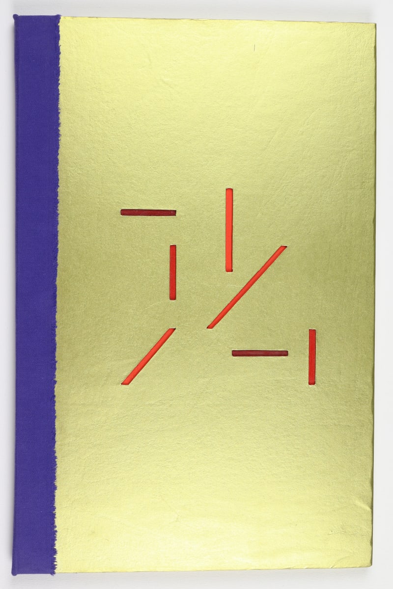 The Ideal is in the Organic by Audra Skuodas  Image: Front Cover