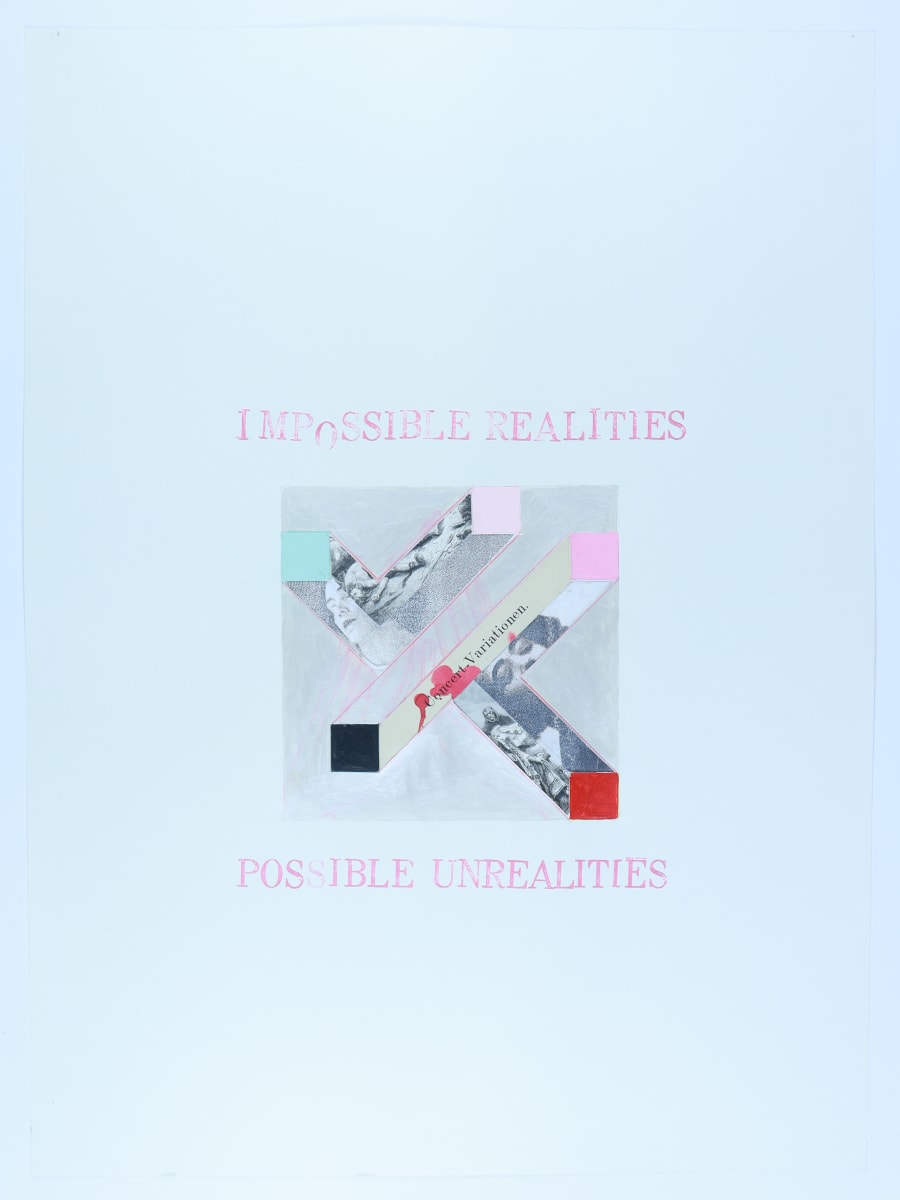 Impossible Realities/Possible Unrealities by Audra Skuodas 