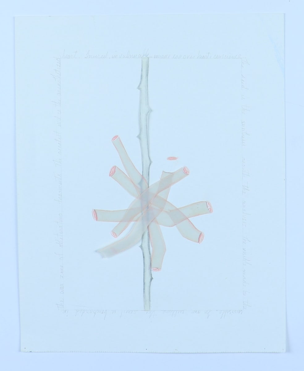 Untitled by Audra Skuodas  Image: The seed is the synthesis growth the analysis.  The visible made by the invisible.  In our culture the spirit is bombarded in the war zone of obliterating fragments.  The greatest evil is the anesthetized heart.  Inured invulnerable image over hearts conscience.  