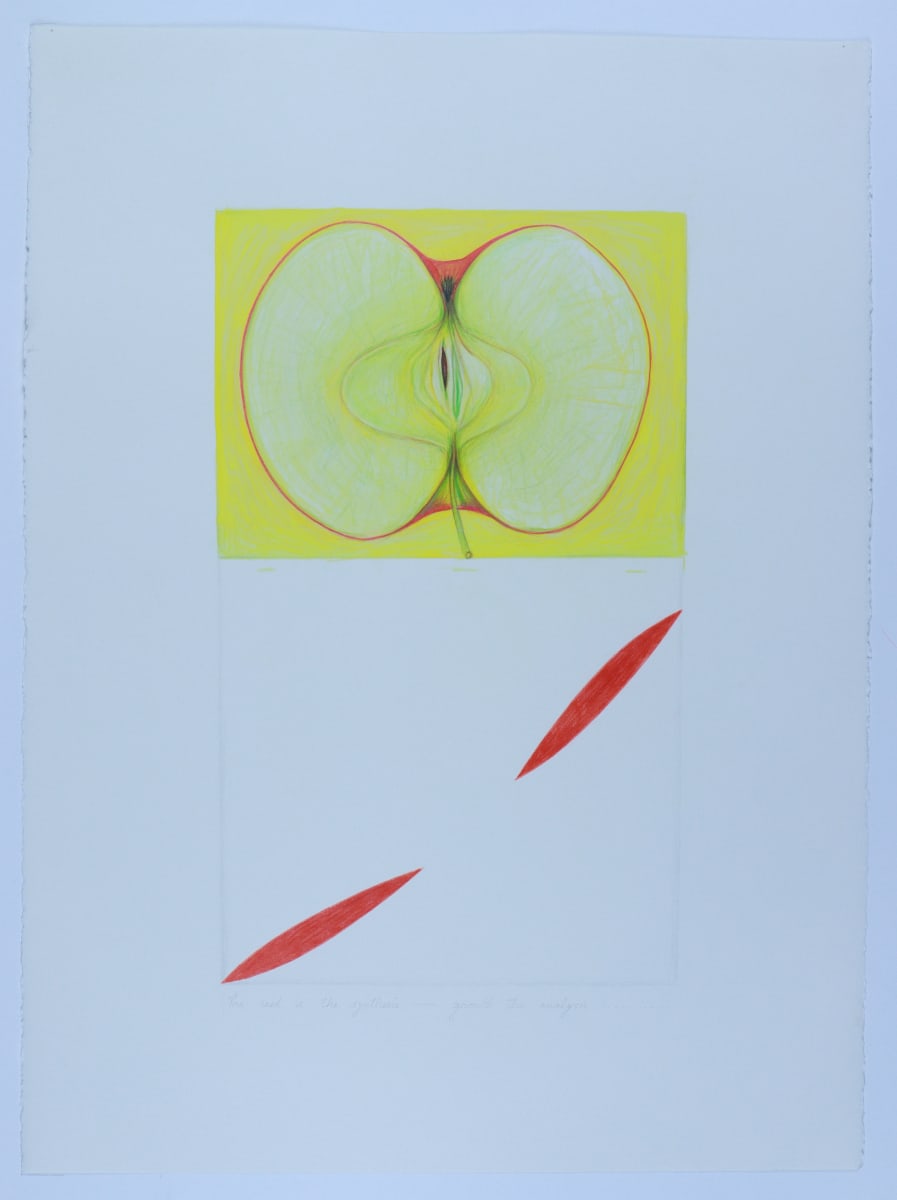 The seed is the synthesis -- growth the analysis by Audra Skuodas  Image: The seed is the synthesis -- growth the analysis
