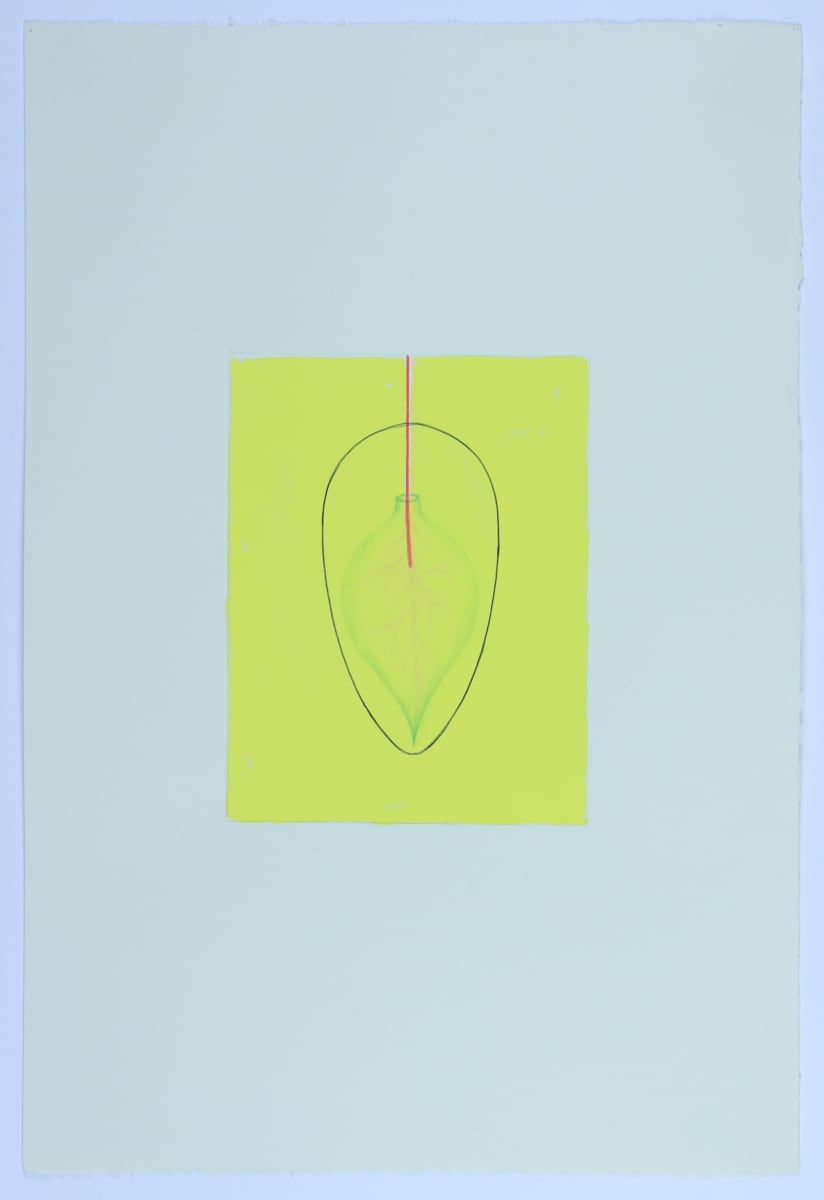 Being -- a certain frequency No. 4 by Audra Skuodas 