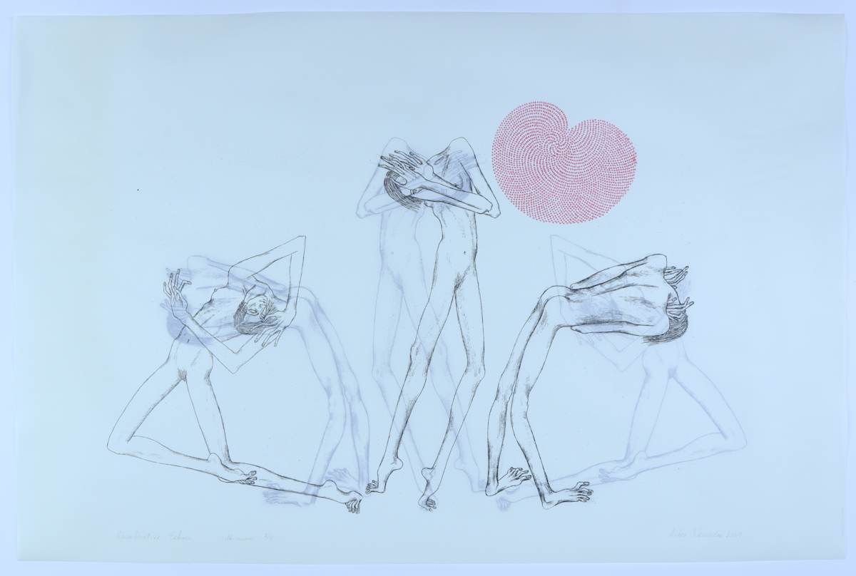 Reverberative Echoes by Audra Skuodas, Image 2.