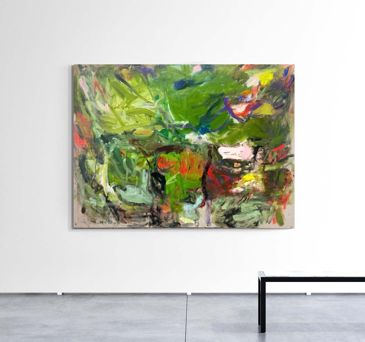 Talking With Plants by Petra Schott 