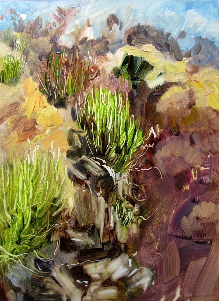 Euphorbia by Gillian Hughes 
