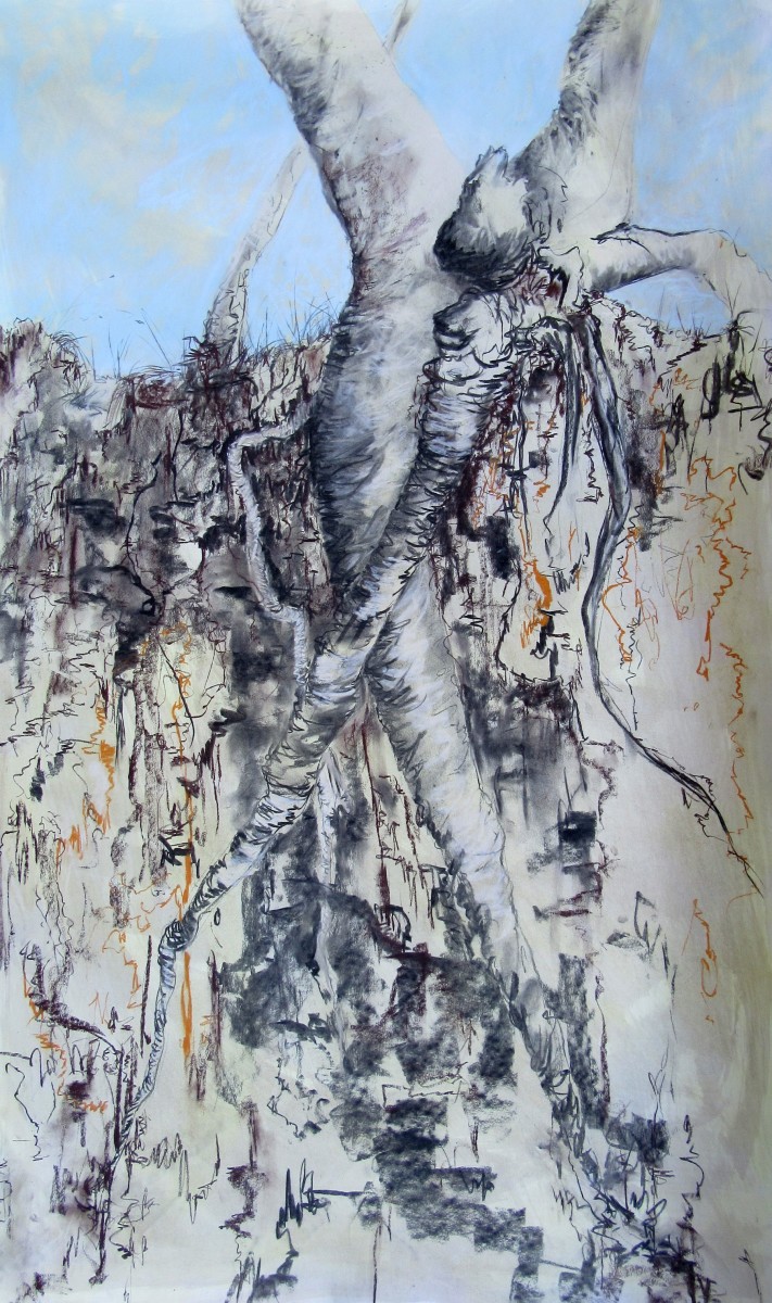 Hanging in There by Gillian Hughes 