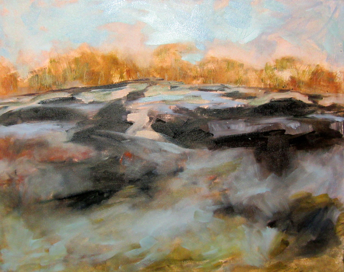 Botany Wetlands by Gillian Hughes 