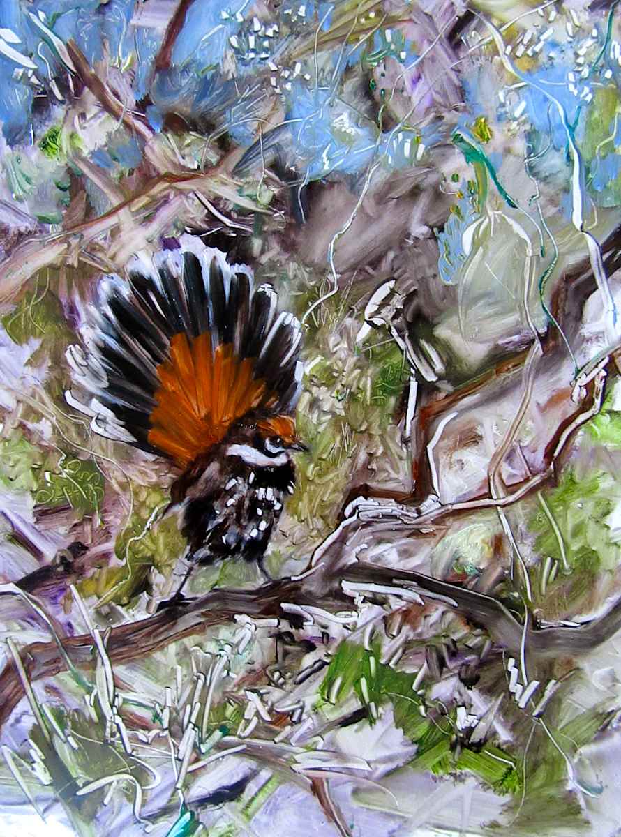 Rufus Fantail 2 by Gillian Hughes, Image 1.