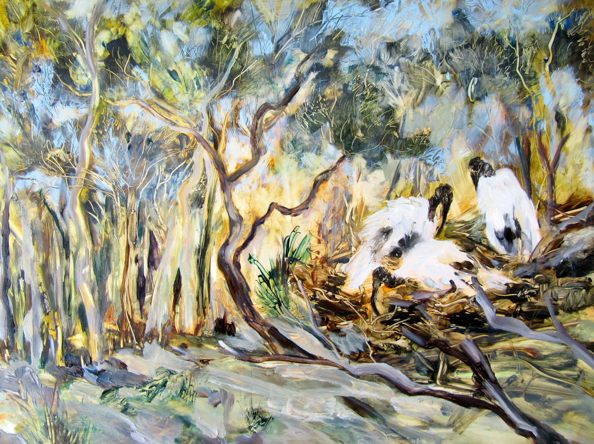 Ibis Nest by Gillian Hughes 