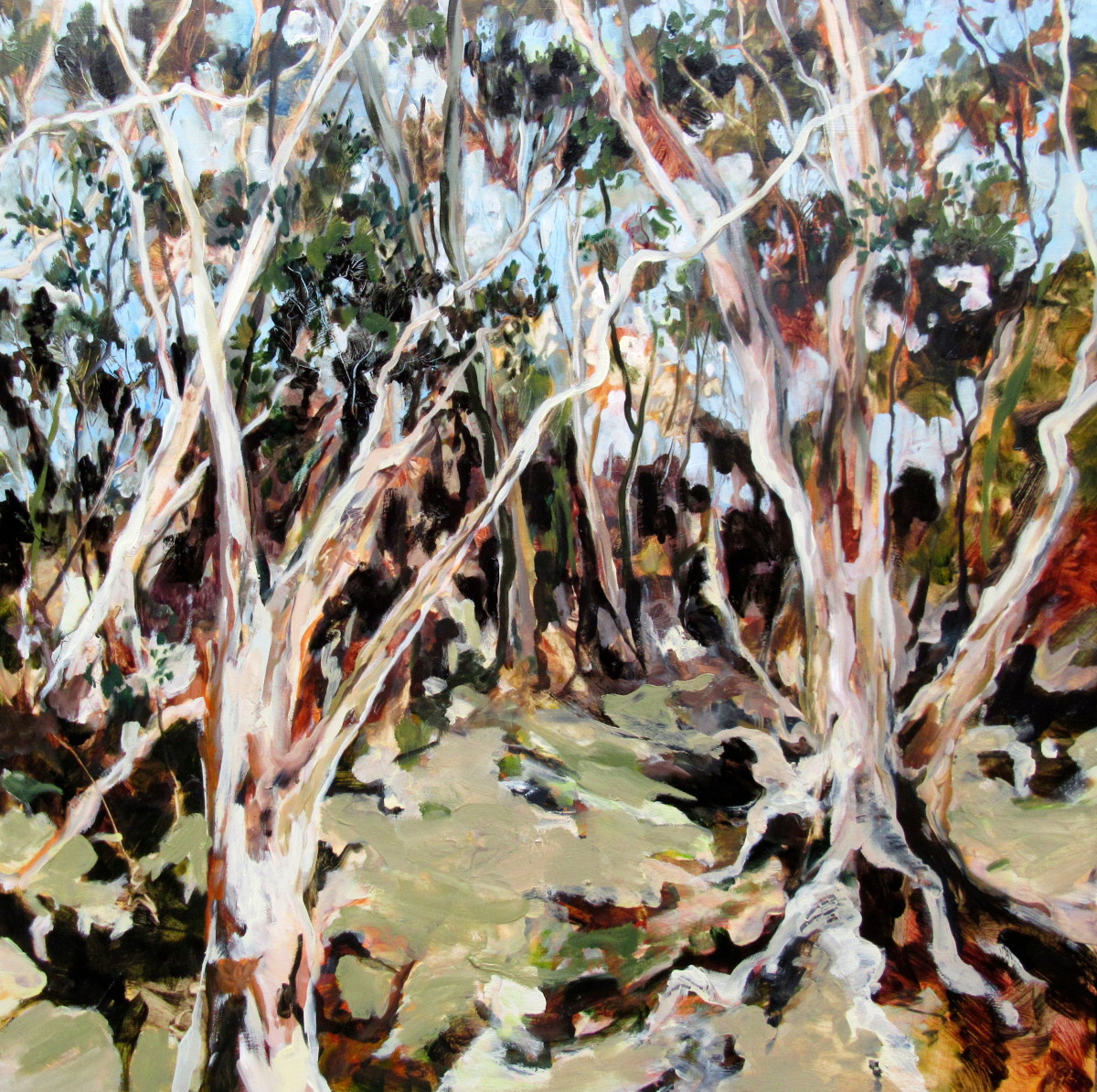 Melaleuca Meandering by Gillian Hughes 