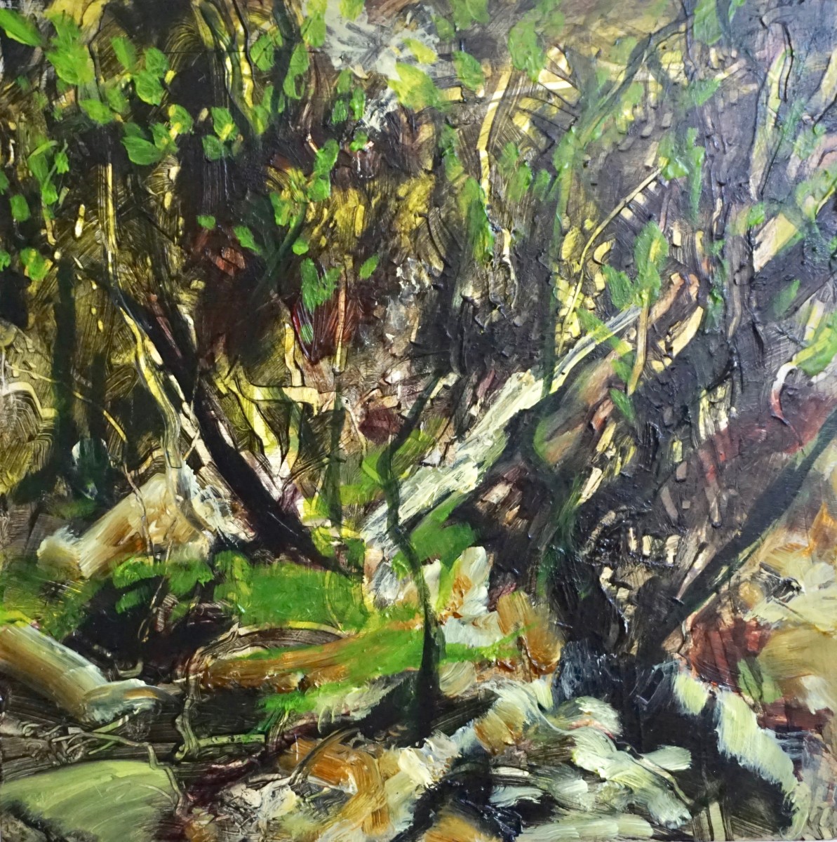 Rainforest Understory by Gillian Hughes 