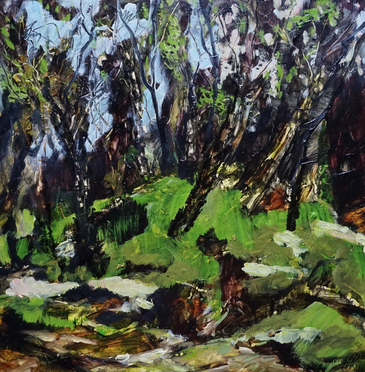 Tree Fern Forest by Gillian Hughes 