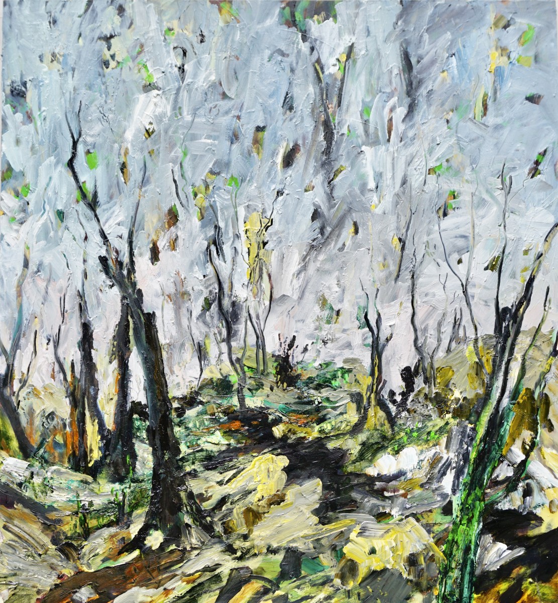 Tarkine After Fire by Gillian Hughes 