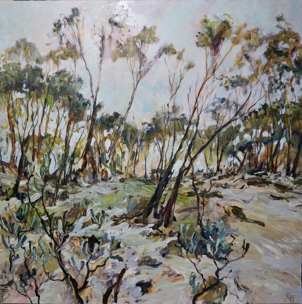 Bushland with Banksias by Gillian Hughes 