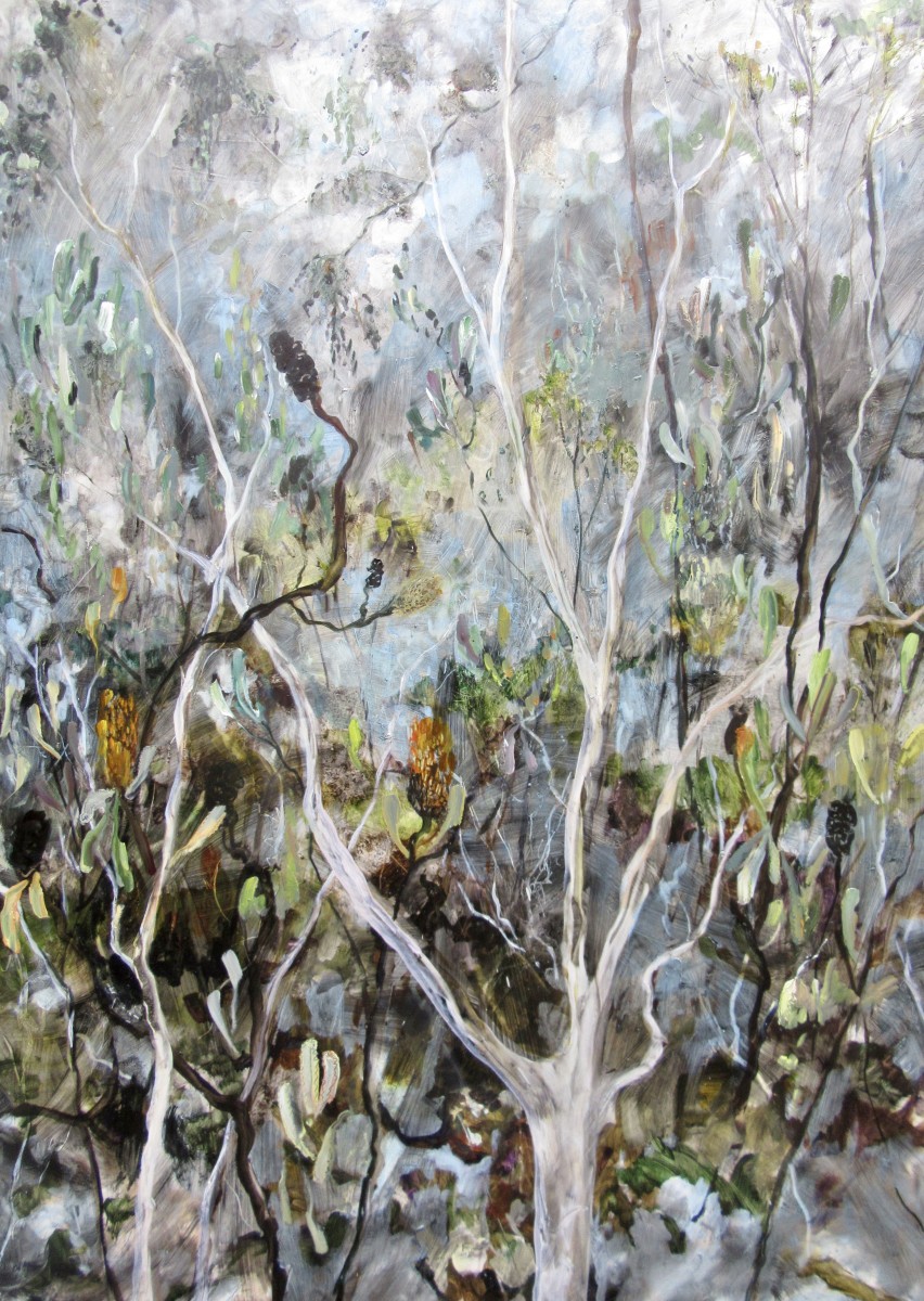 Botany - A Walk through the Trees by Gillian Hughes 