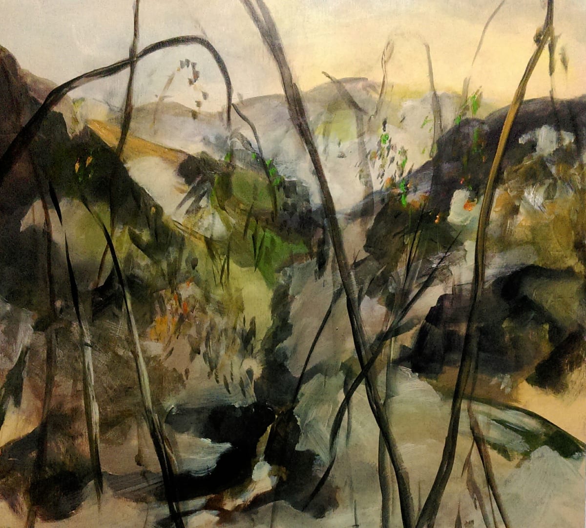 Evening Exploration by Gillian Hughes 