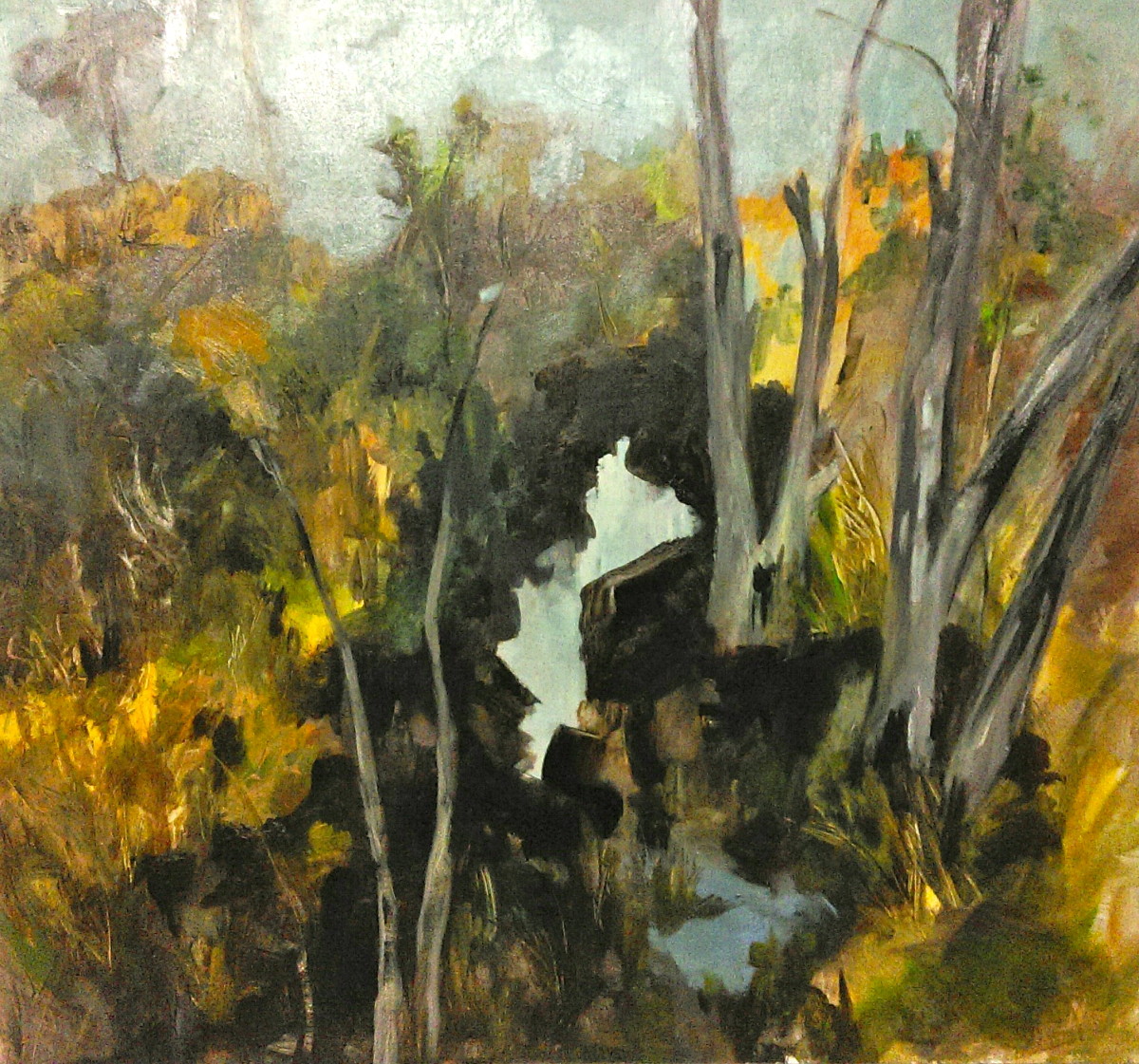 The Wattles are in Flower by Gillian Hughes 
