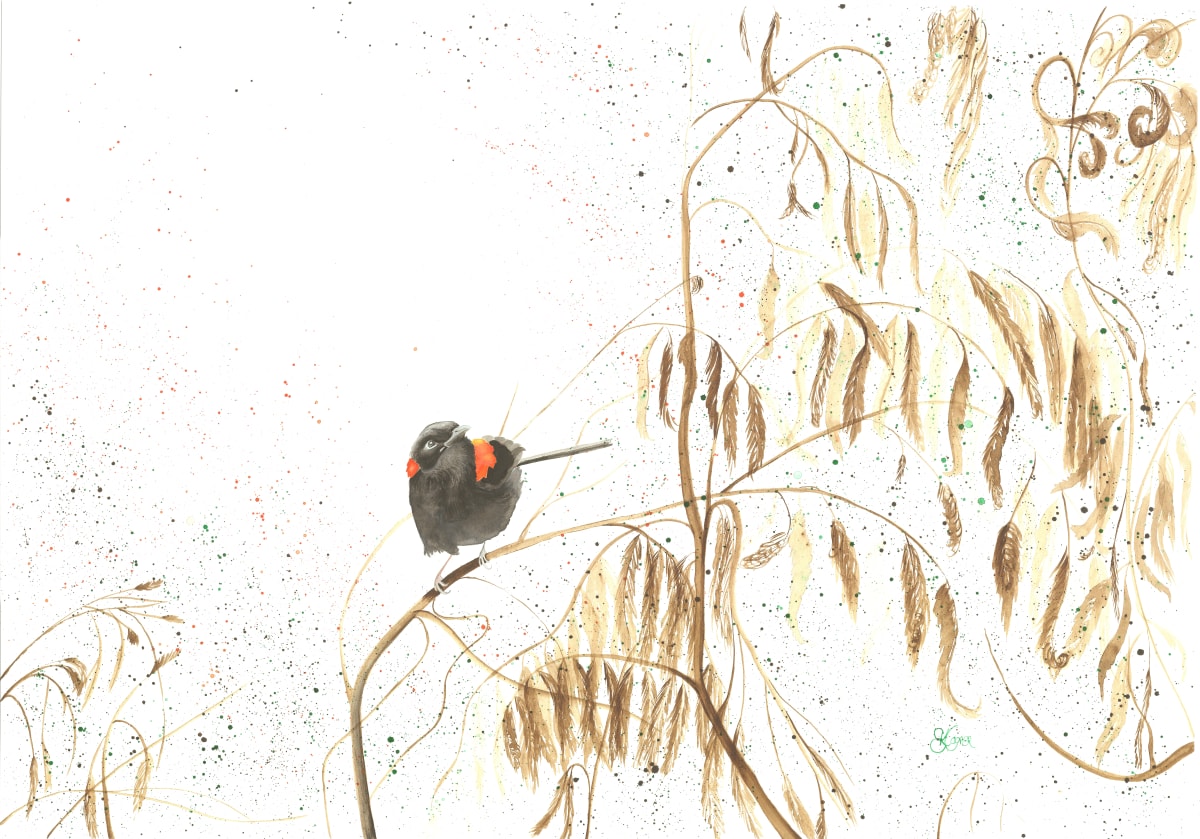 Magic in the Grasslands by Elizabeth Cooper 