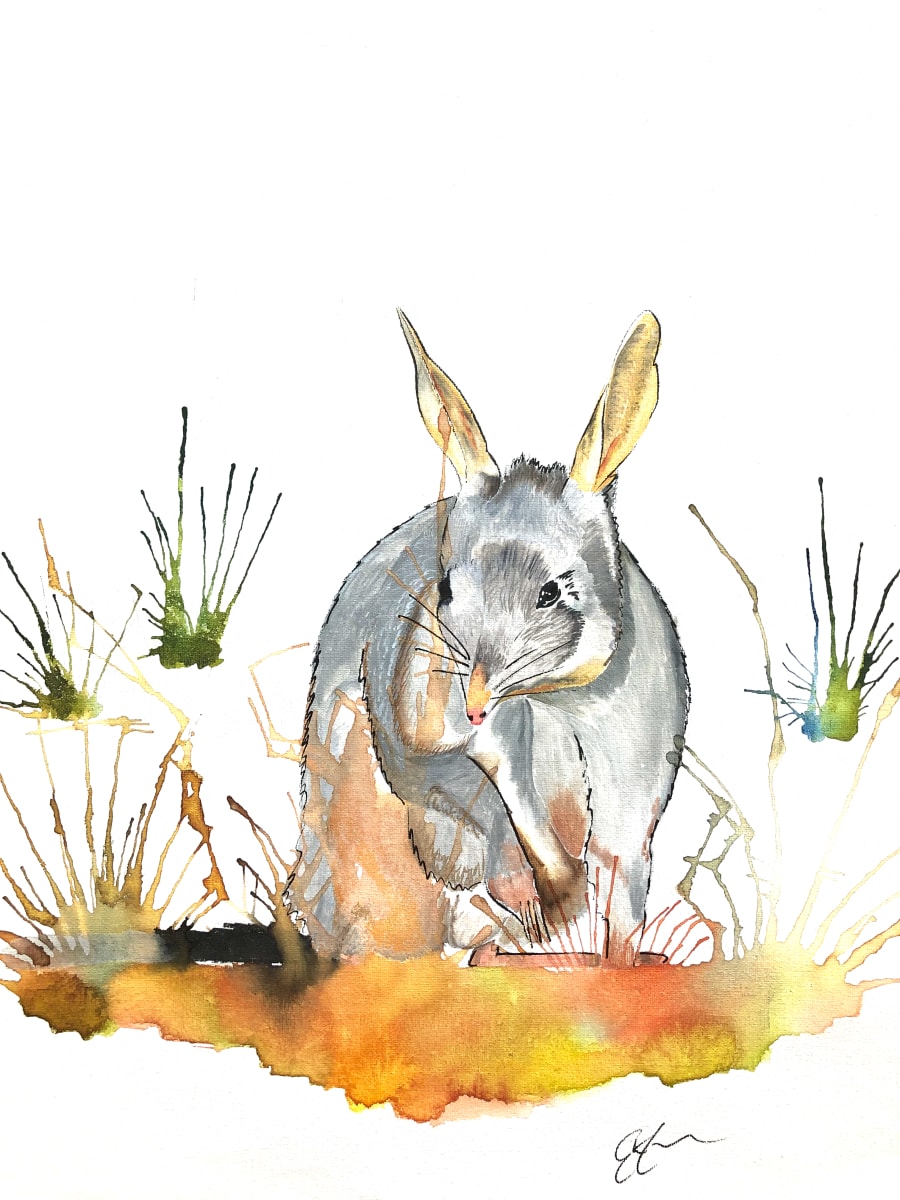 Aussie Bunny by Elizabeth Cooper  Image: Australian Bilby